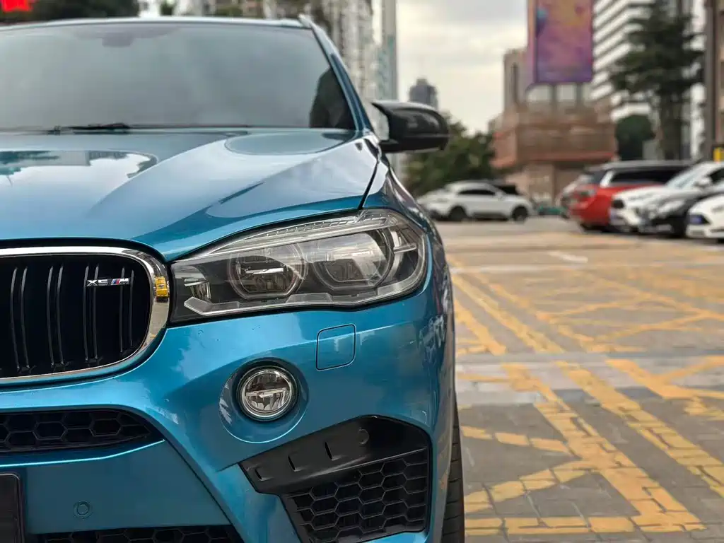 BMW X5 M 2017 — фото 19