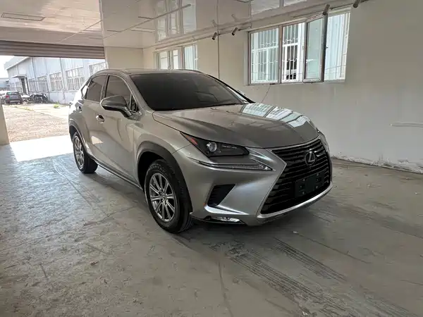 Lexus NX 2021