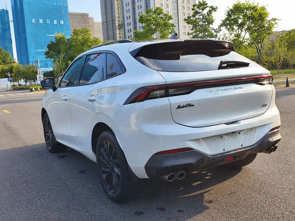 Dongfeng Fengxing T5 EVO 2021 — фото 13