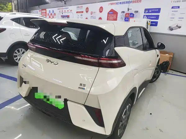BYD Seagull 2025