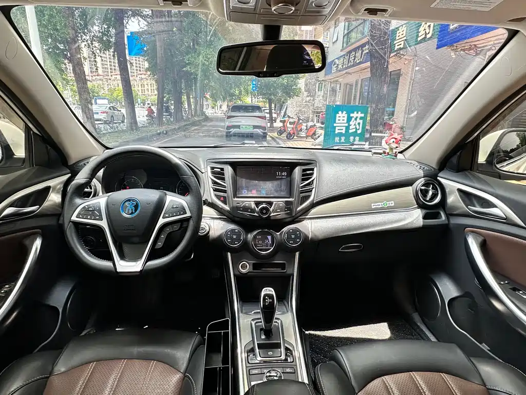 BYD New Energy 2018