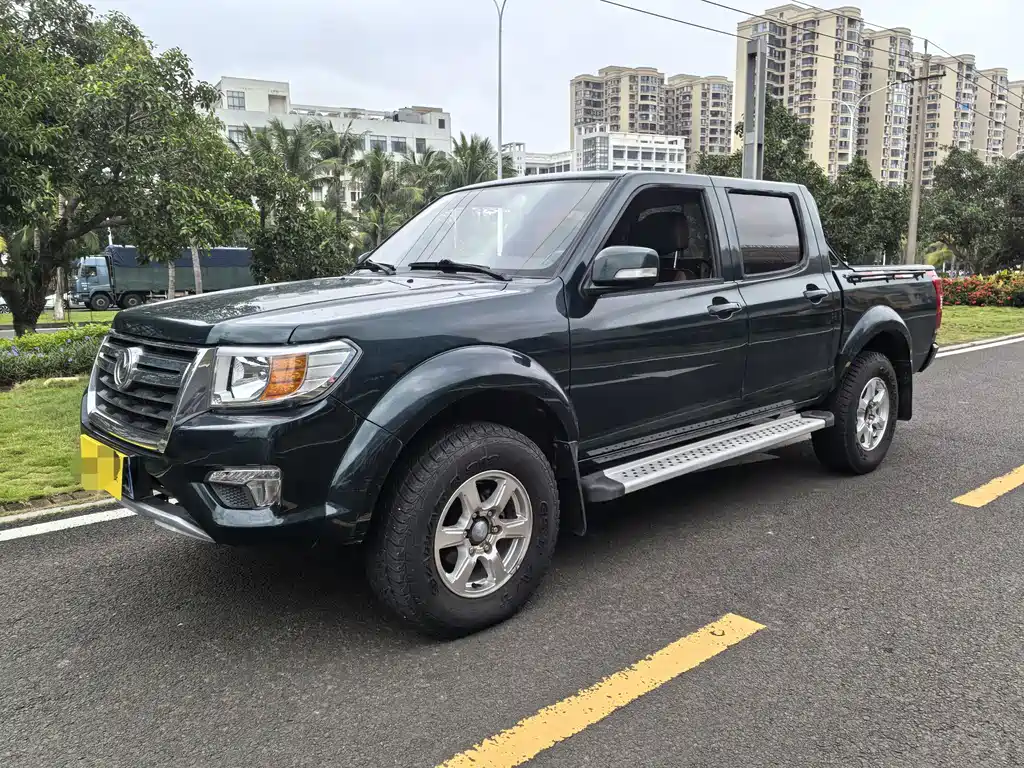 Dongfeng Ruiqi 2018