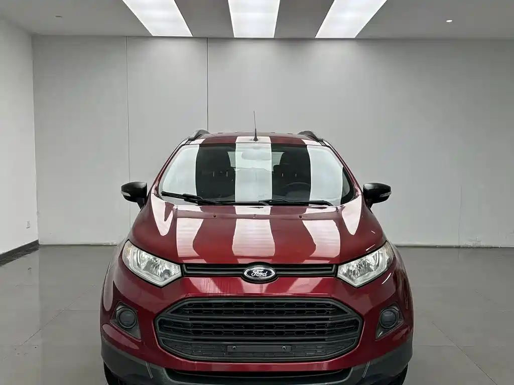 Ford EcoSport 2013 — фото 2