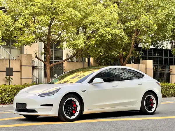 Tesla Model 3 2020