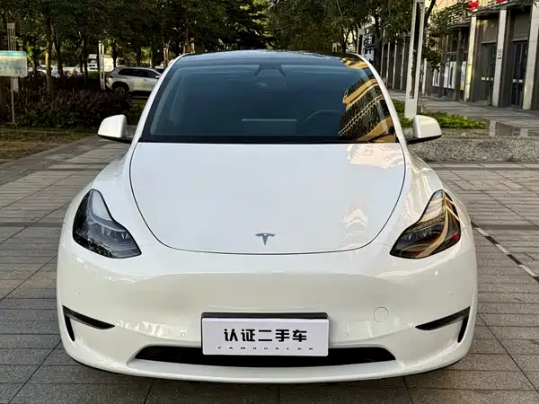 Tesla Model Y 2021