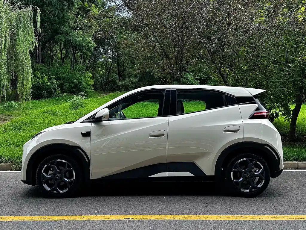 BYD Seagull 2025
