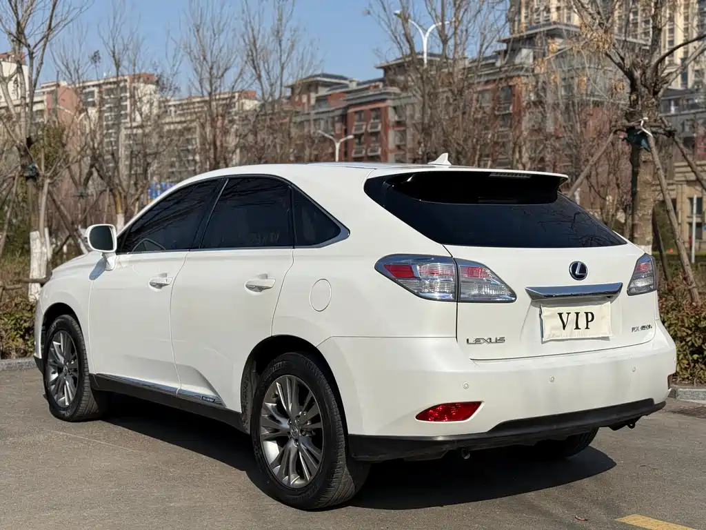 Lexus RX Classic 2010 — фото 22