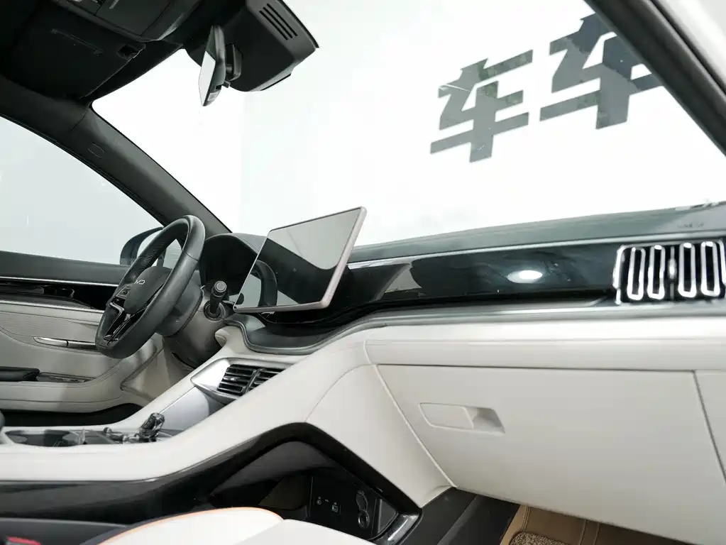 BYD PLUS New Energy 2024 — фото 13