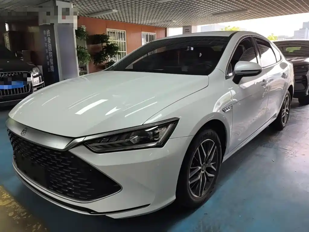 BYD Qin PLUS 2024 — фото 1