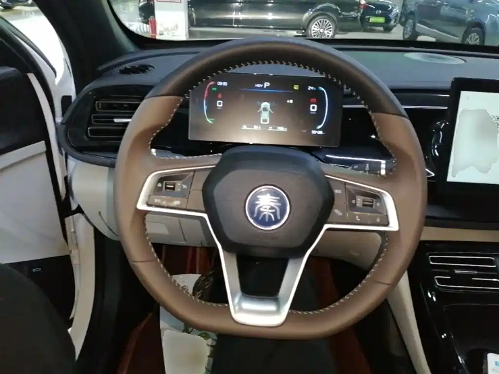 BYD Qin PLUS 2024 — фото 10