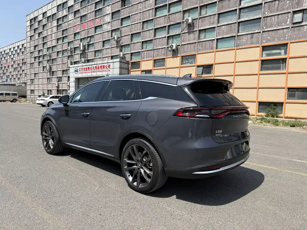 BYD Tang New Energy 2019 — фото 16