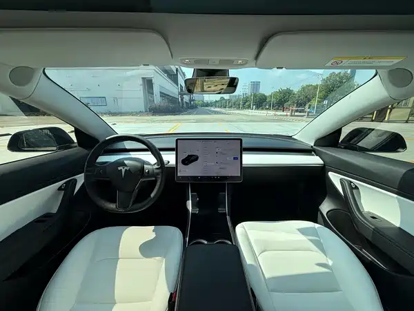 Tesla Model 3 2019