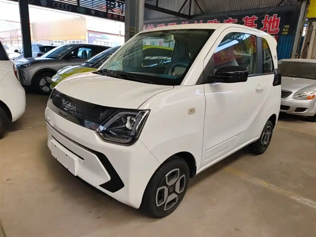 Fengguang MINIEV 2024