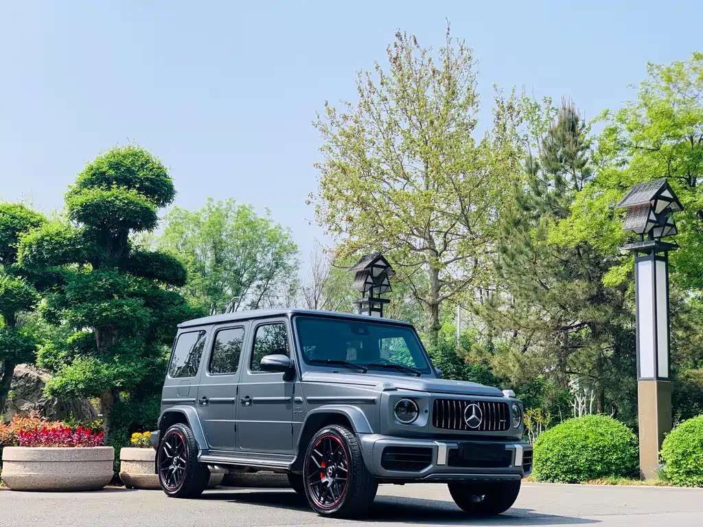 Mercedes-Benz G-Class AMG 2020 — фото 2