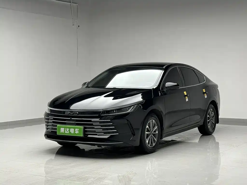 BYD Destroyer 05 2024 — фото 1