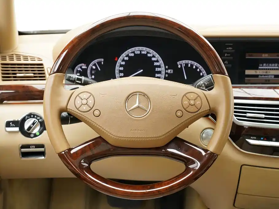 Mercedes-Benz S-Class 2010 — фото 15