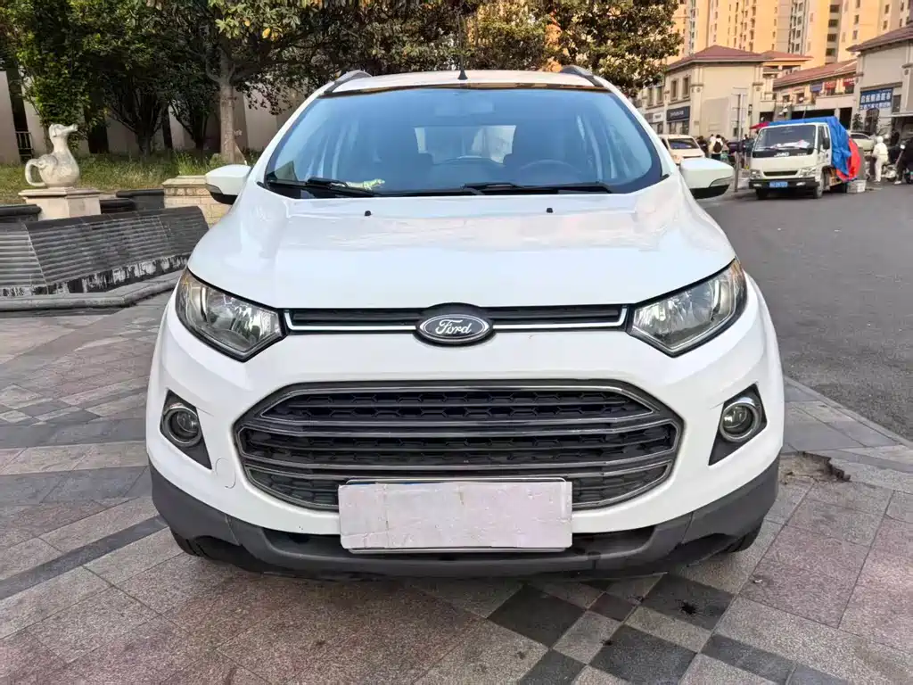 Ford Ecosport 2014 — фото 2