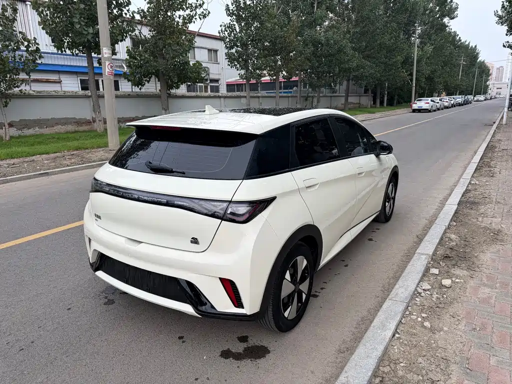 BYD Dolphin 2023 — фото 10