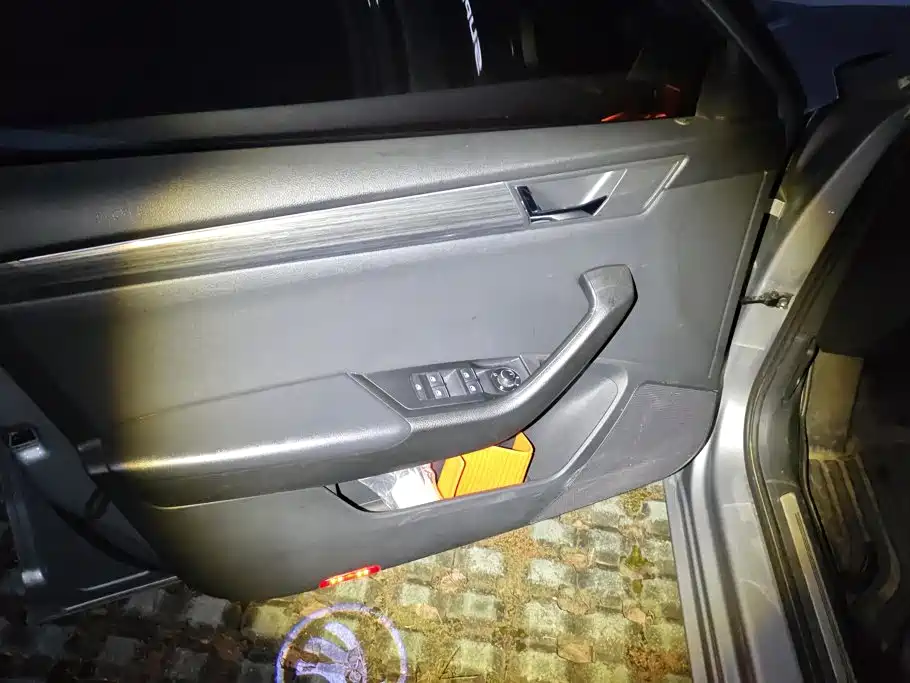 Skoda Speedy 2017