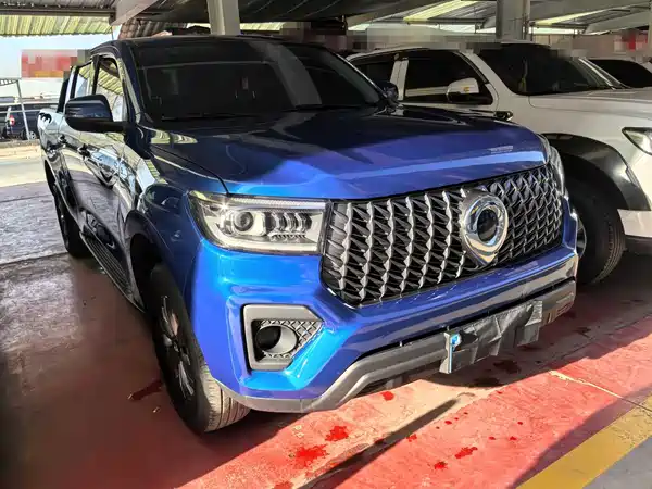 Great Wall Poer 2024