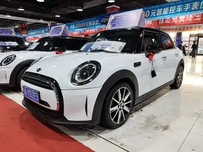 MINI MINI 2022