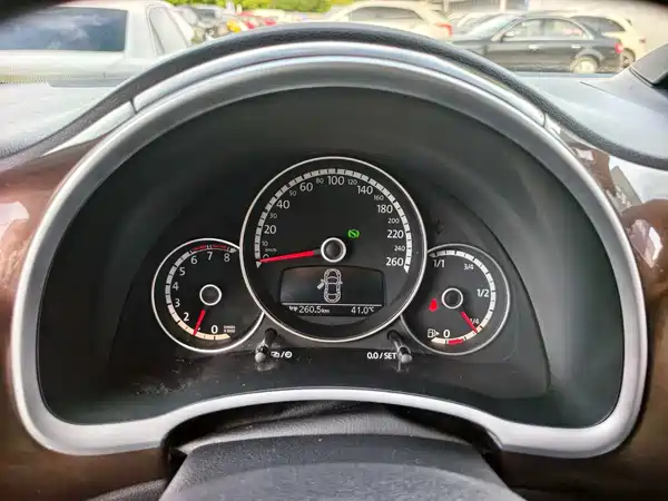 Volkswagen Beetle 2013