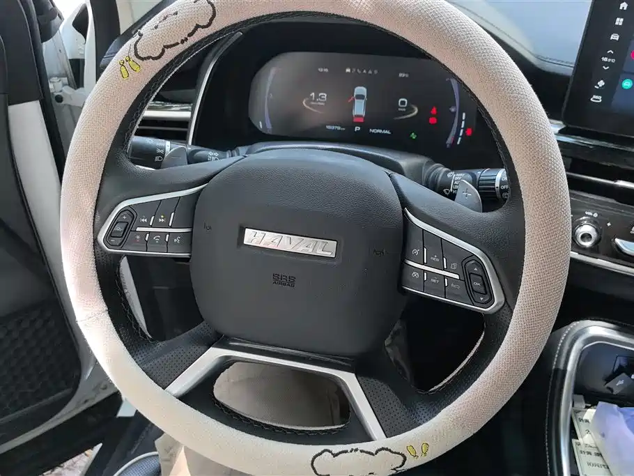 Haval H6 2023 — фото 15