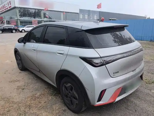 BYD Dolphin 2021