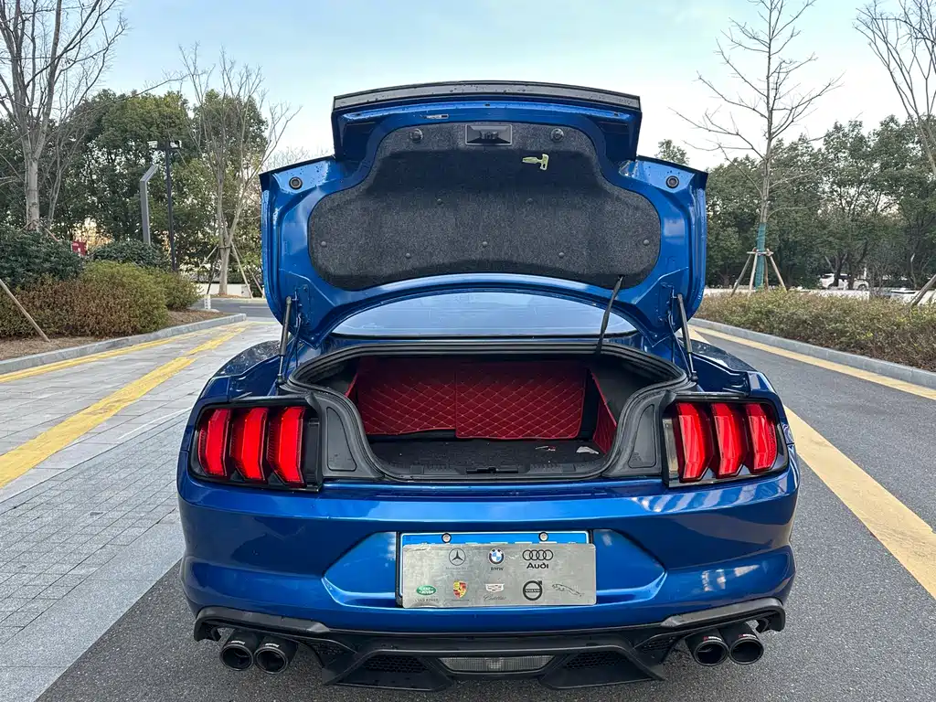 Ford Mustang 2019 — фото 7