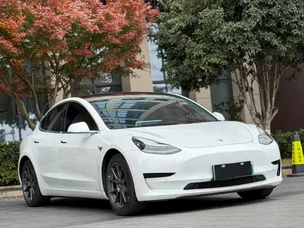 Tesla Model 3 2020