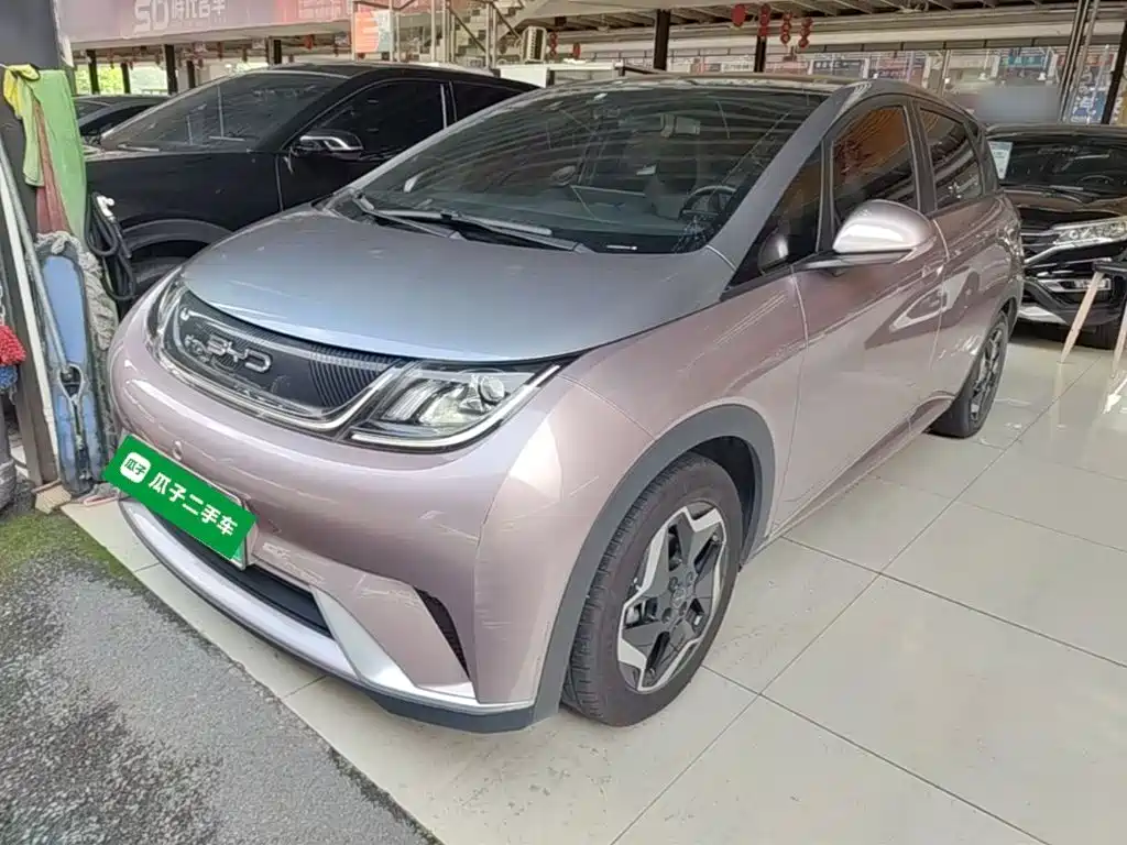 BYD Dolphin 2022