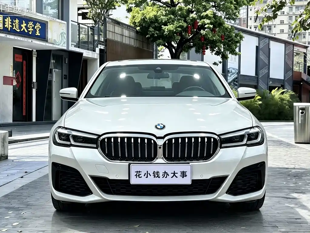 BMW 5 Series 2022