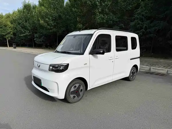 Wuling Zhiguang New Energy 2026