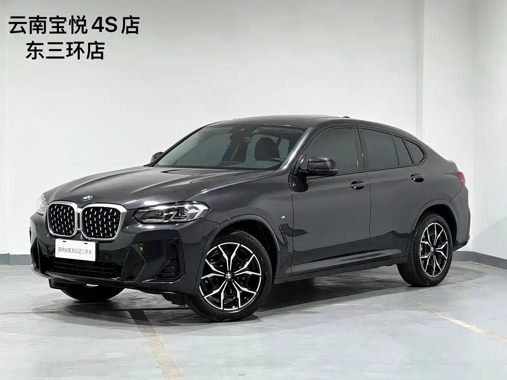 BMW X4 2023