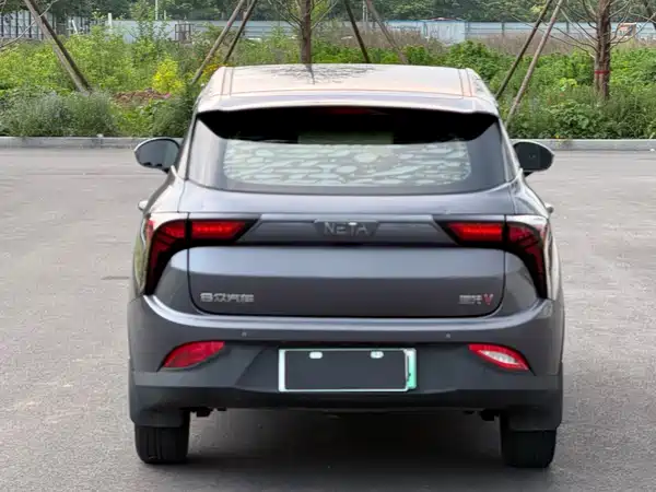 Neta V 2022