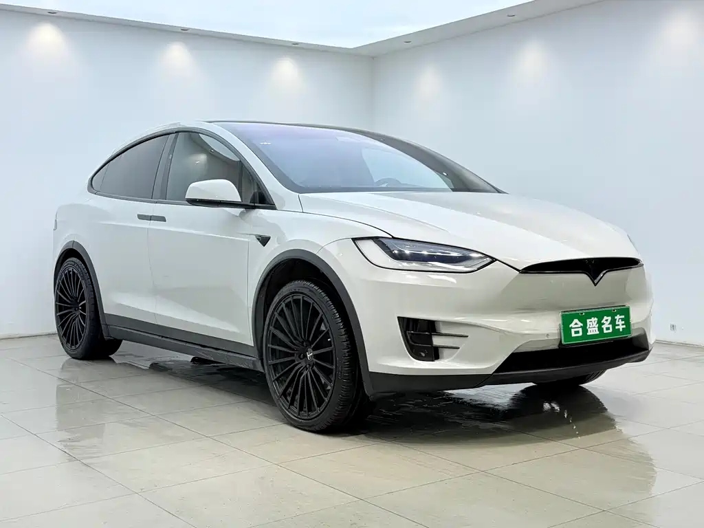 Tesla Model X 2020 — фото 3