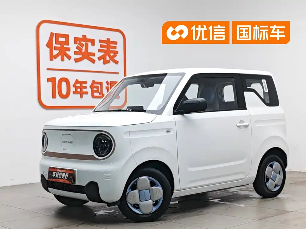 Geely Galaxy Panda 2024