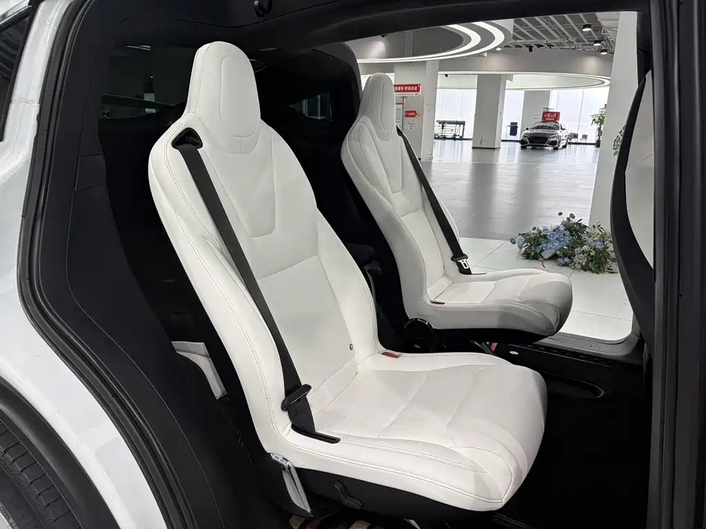 Tesla Model X 2019 — фото 10