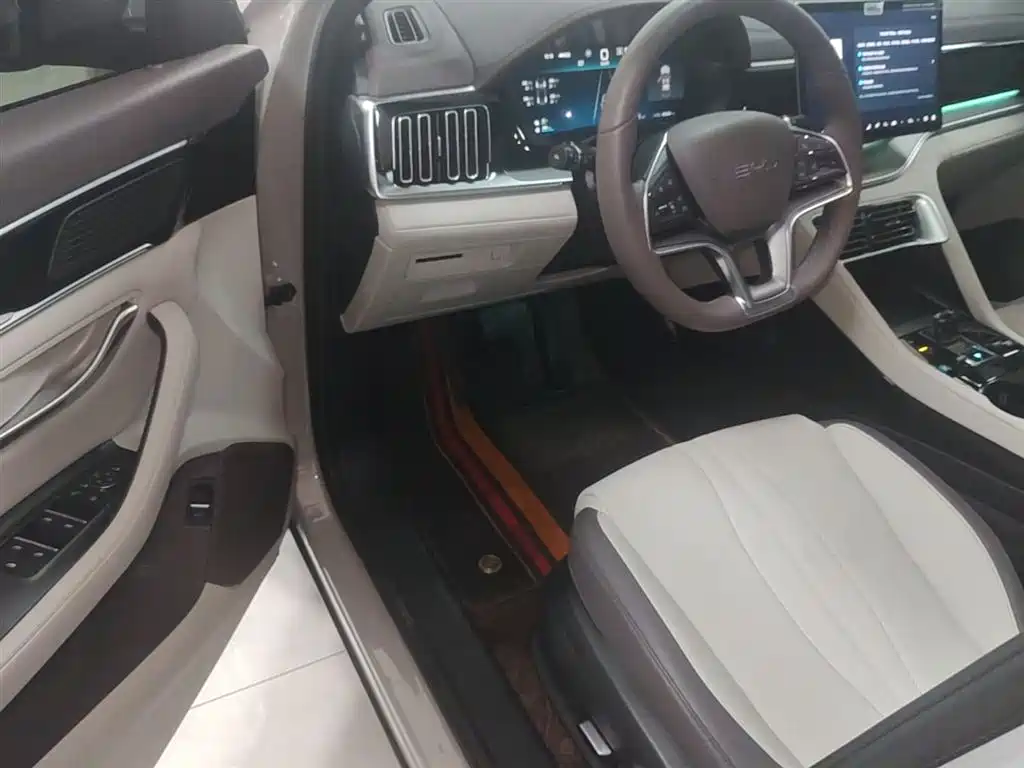 BYD PLUS New Energy 2024 — фото 16