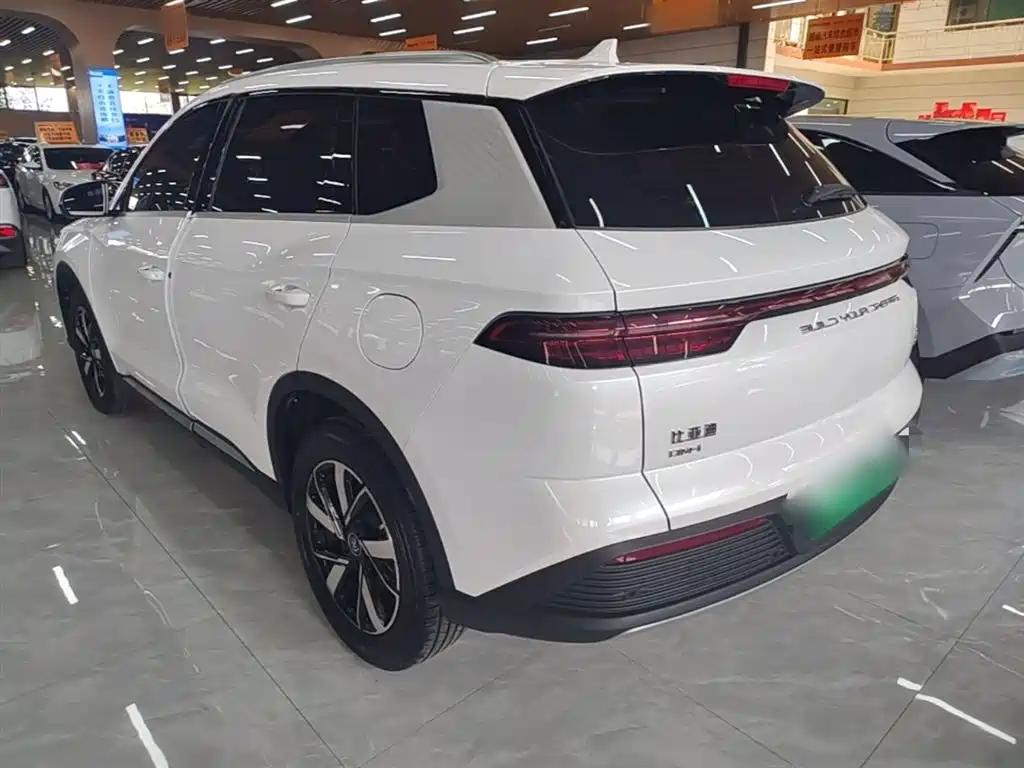 BYD Pro New Energy 2024 — фото 5