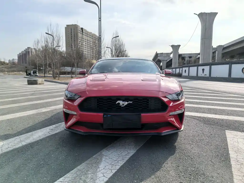 Ford Mustang 2019 — фото 2