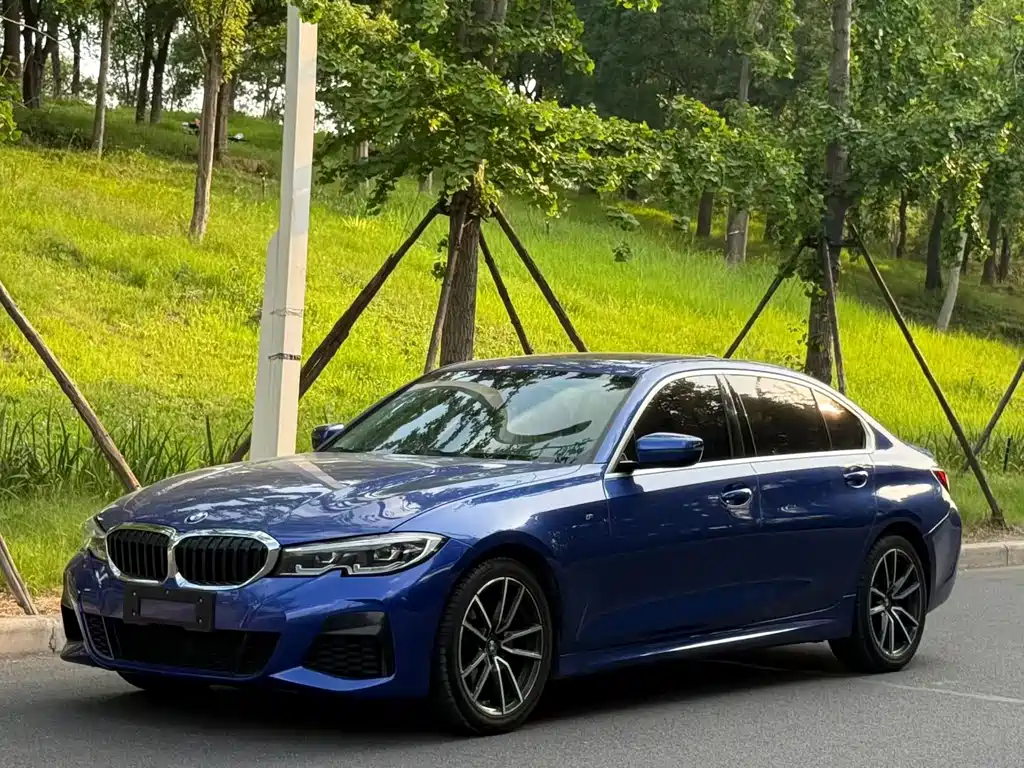 BMW 3 Series 2019
