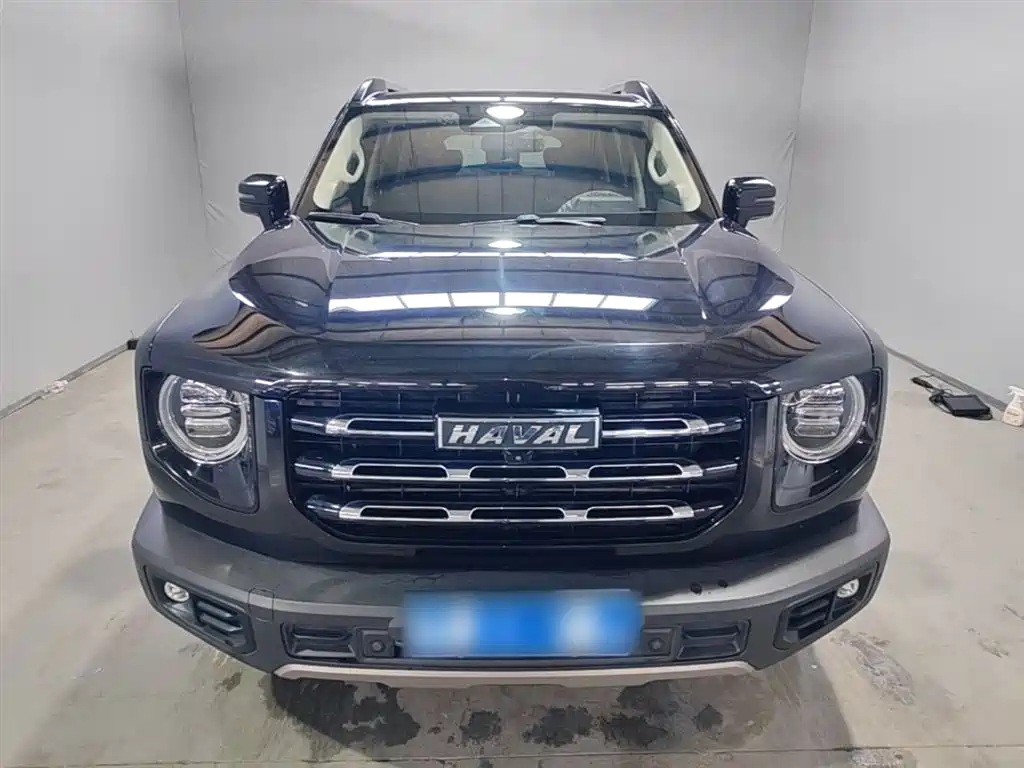 Haval Big Dog 2021 — фото 3
