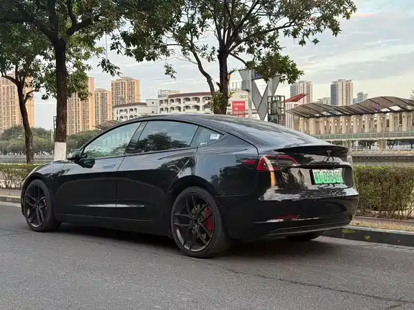 Tesla Model 3 2021