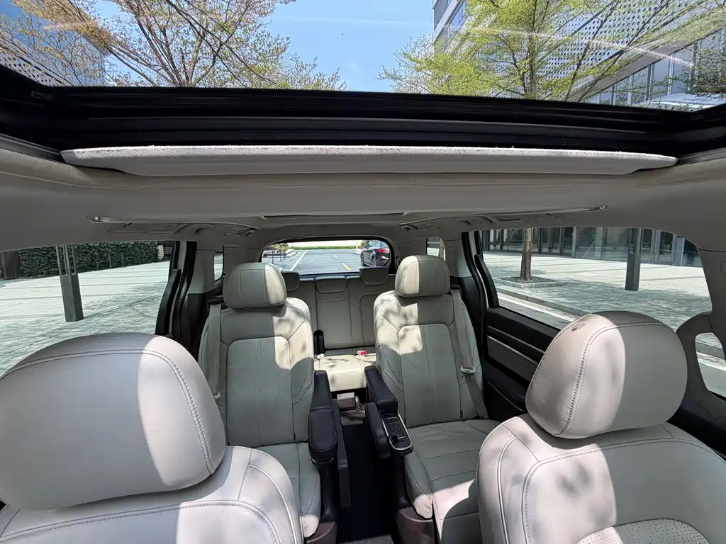 GAC Motor Trumpchi M8 2021 — фото 14