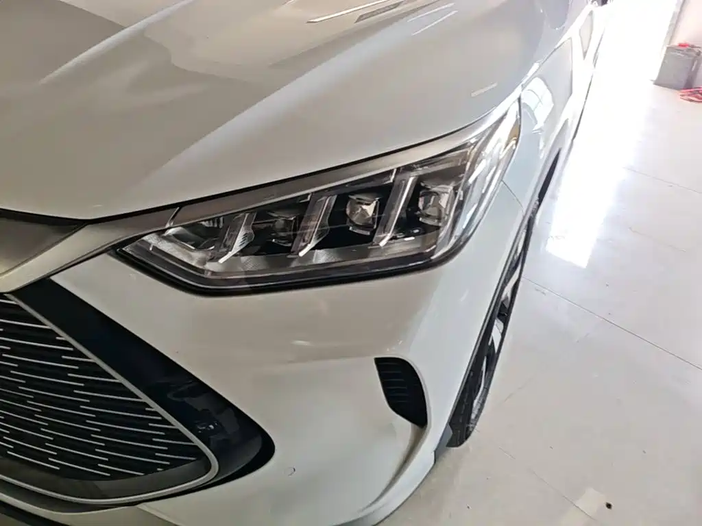 BYD Song PLUS New Energy 2023 — фото 24