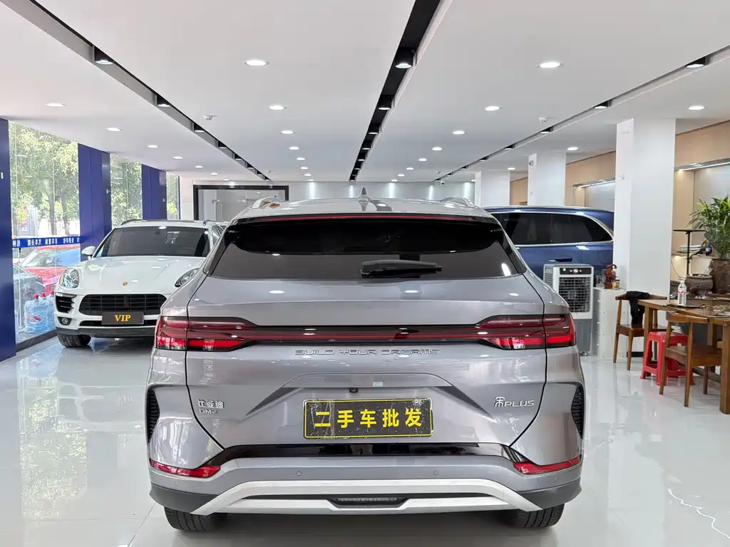 BYD Song PLUS New Energy 2024 — фото 8