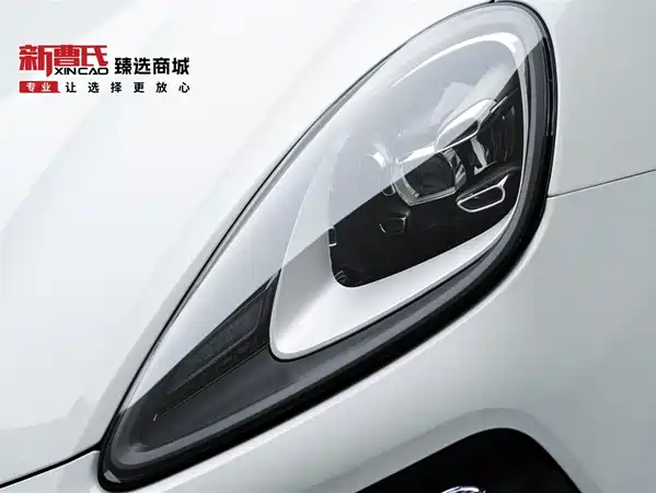 Porsche Cayenne New Energy 2021
