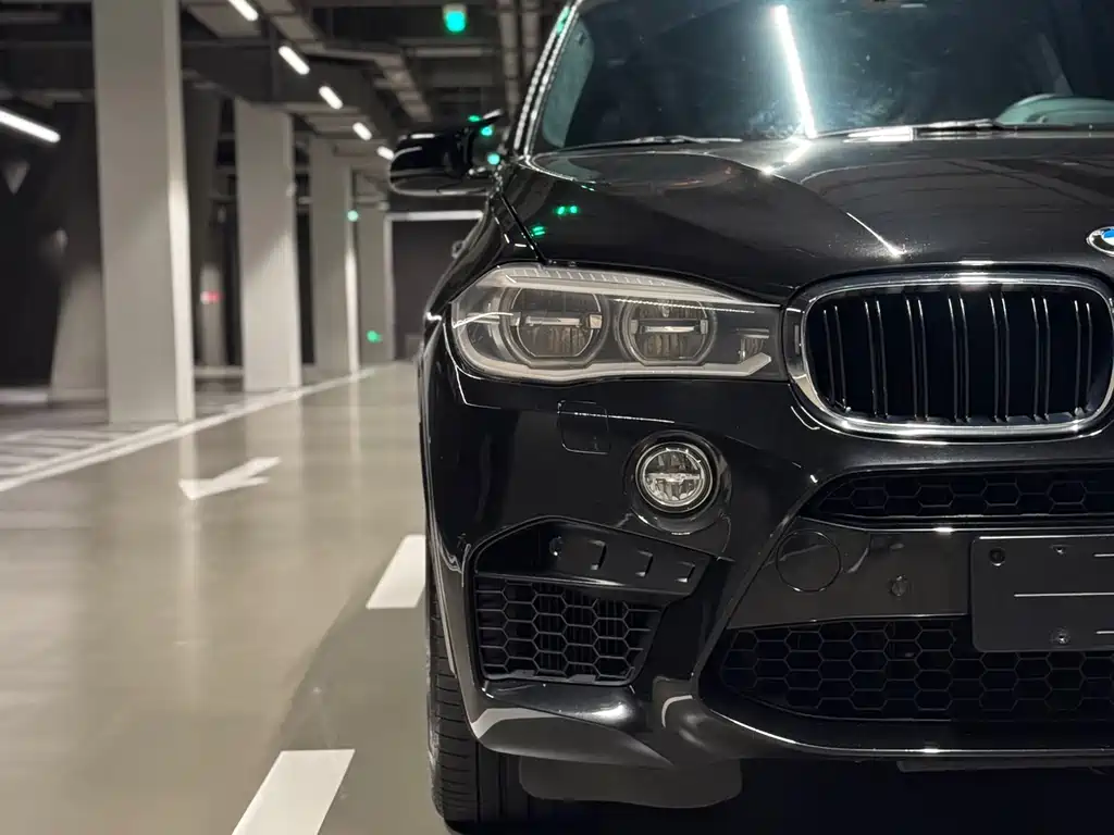 BMW X5 M 2016 — фото 13