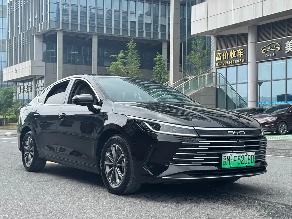 BYD Destroyer 05 2024 — фото 2